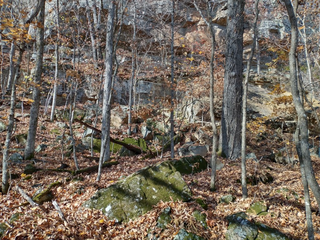 img_20231125_113233258_hdr.jpg