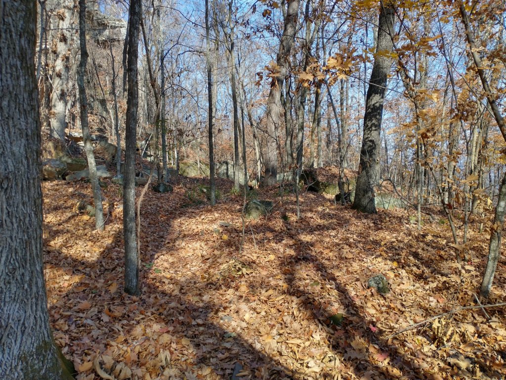 img_20231125_113236632_hdr.jpg
