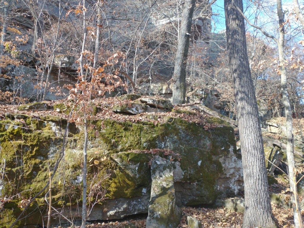 img_20231125_113440295.jpg