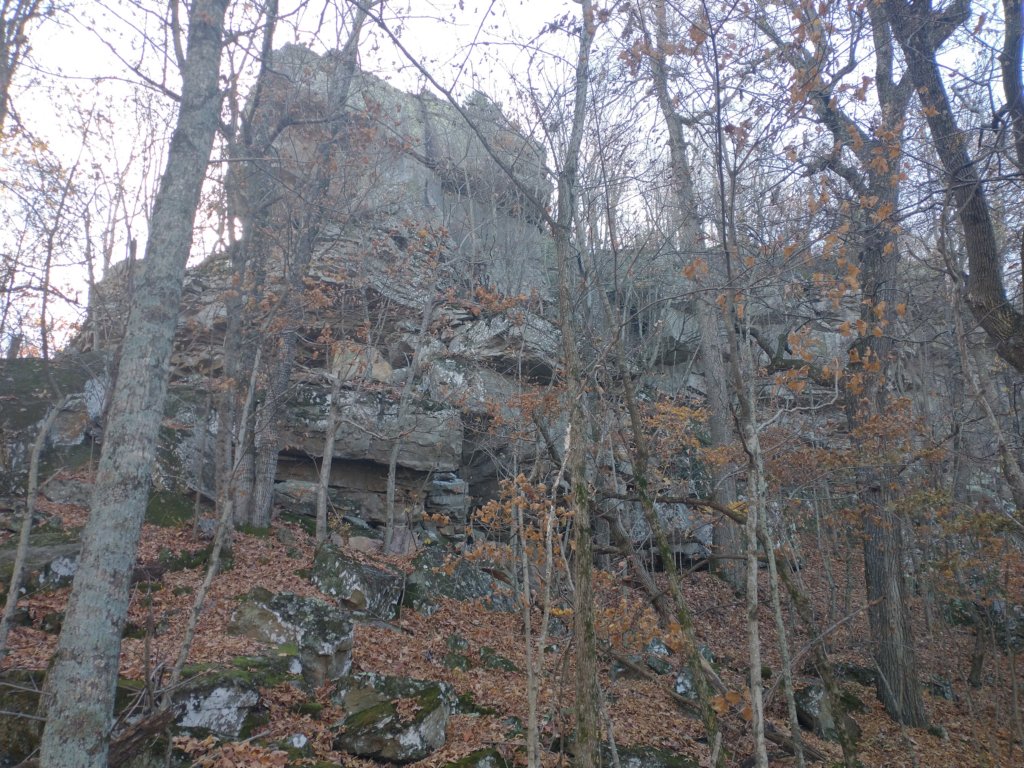 img_20231125_113710766.jpg