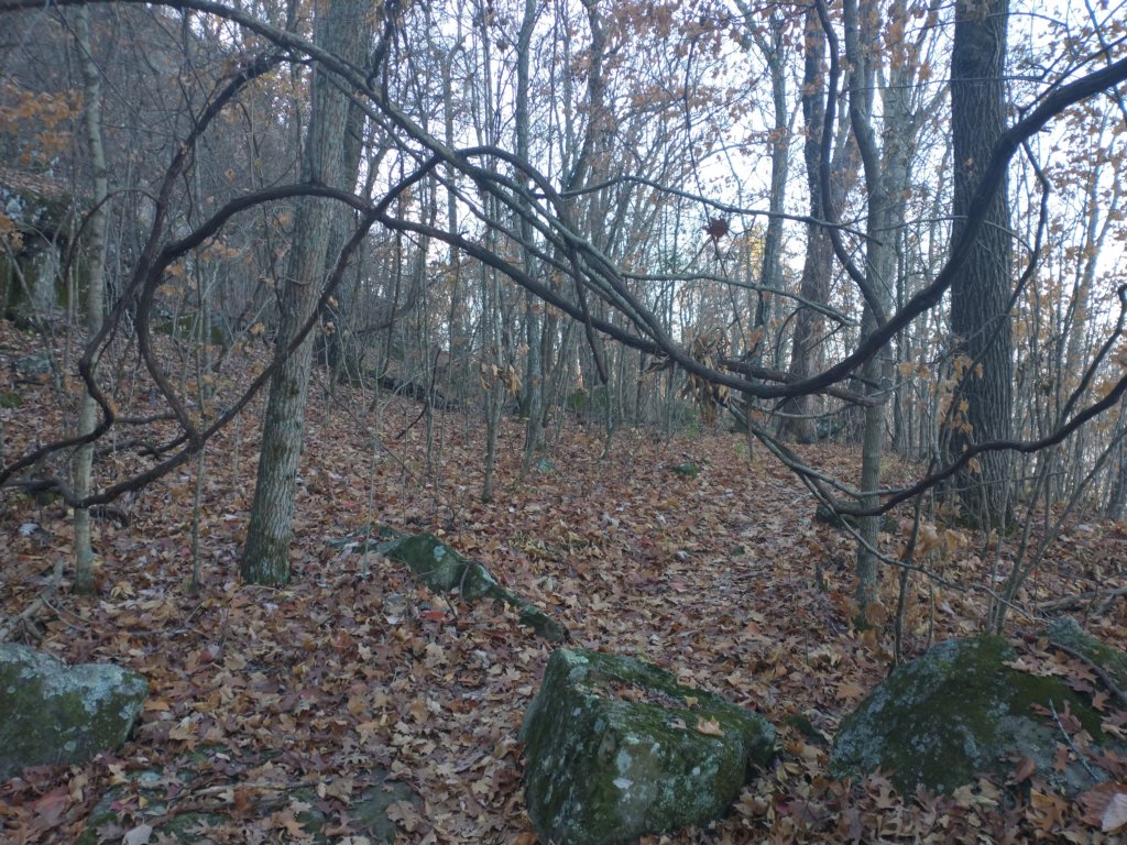 img_20231125_113912865.jpg