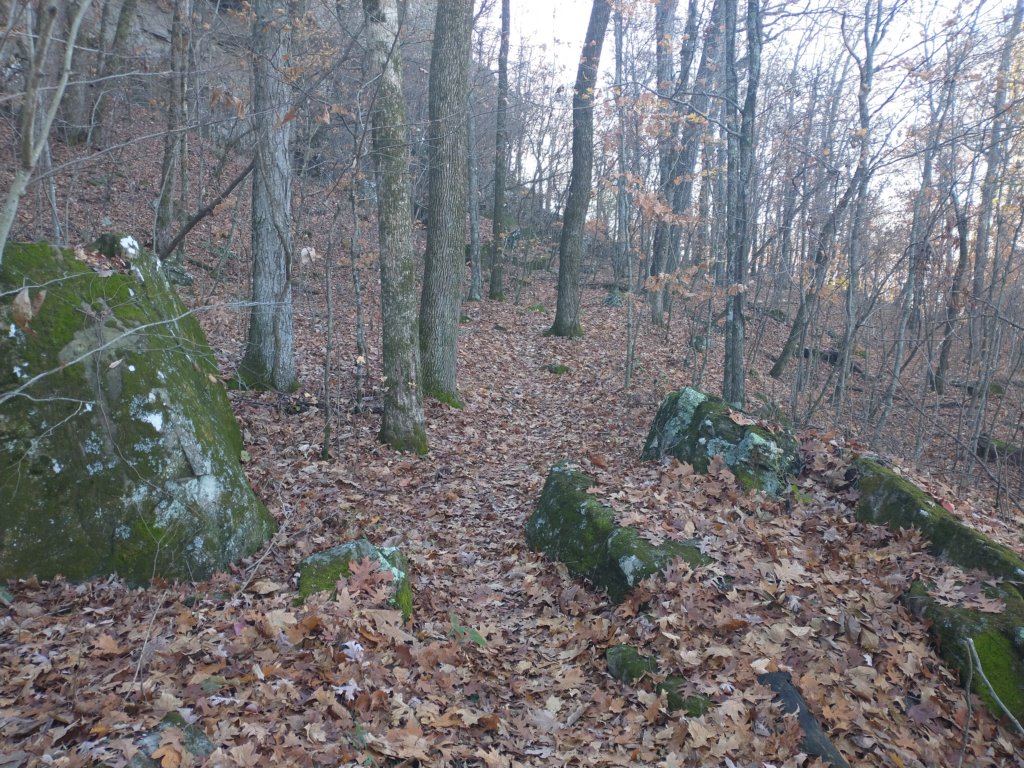 img_20231125_113944141.jpg
