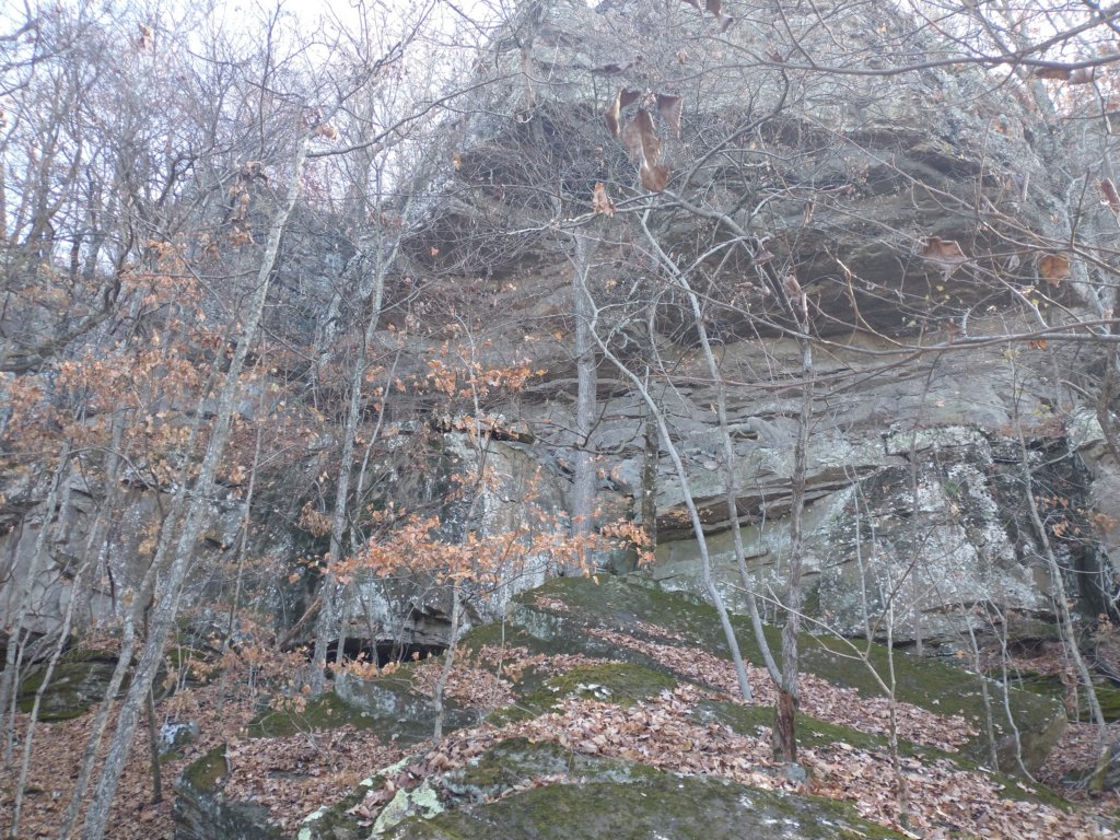 img_20231125_114204589.jpg
