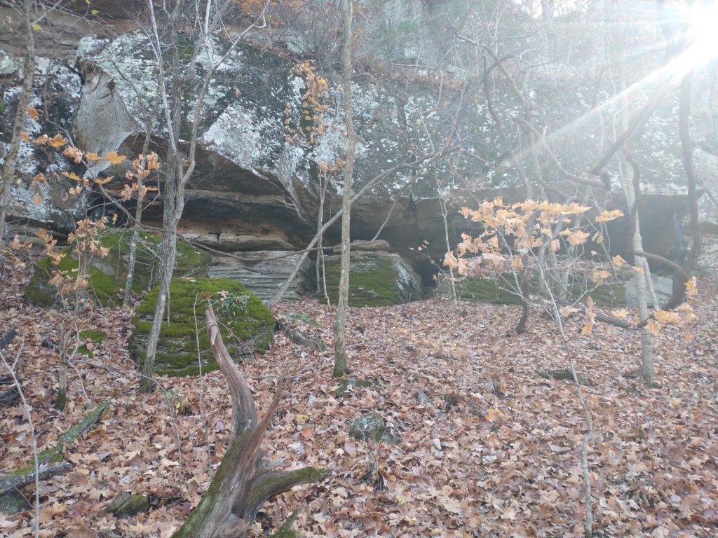 img_20231125_114240099.jpg