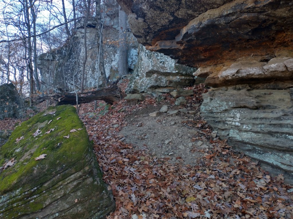 img_20231125_114305607_hdr.jpg