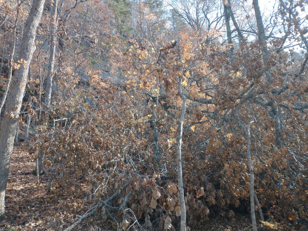 img_20231125_114551682.jpg