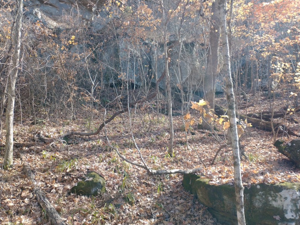 img_20231125_114758074.jpg