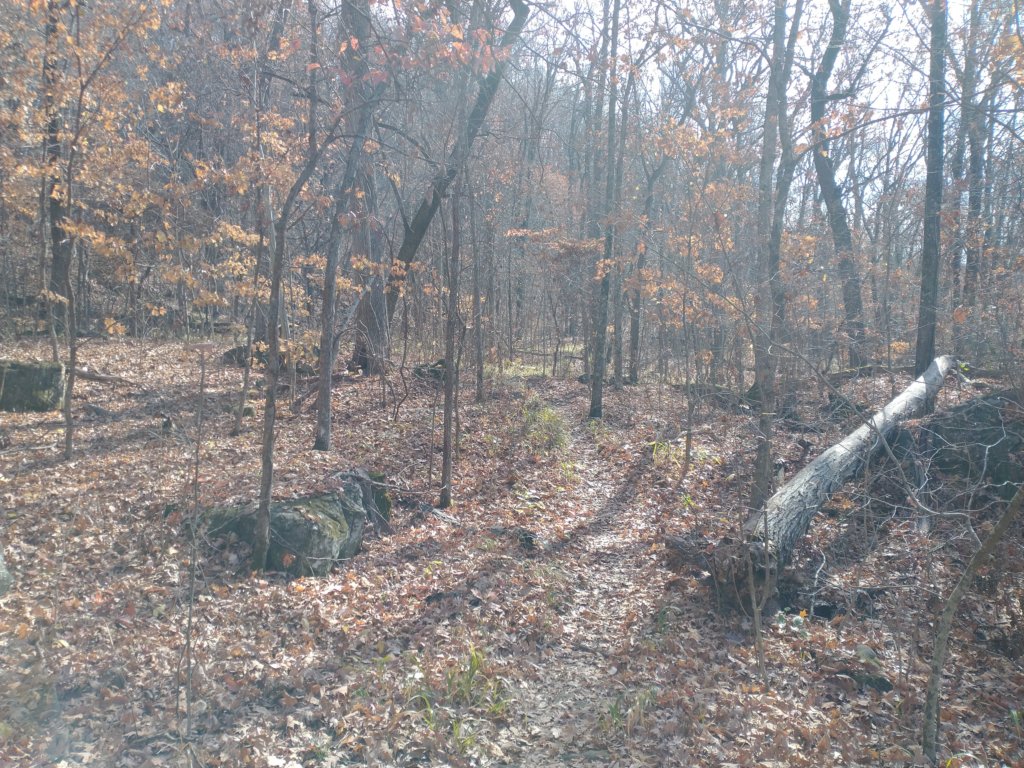 img_20231125_115051116.jpg