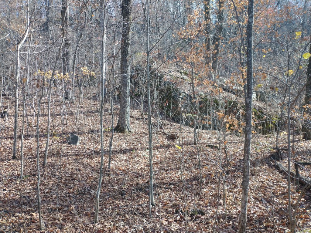 img_20231125_115300678.jpg