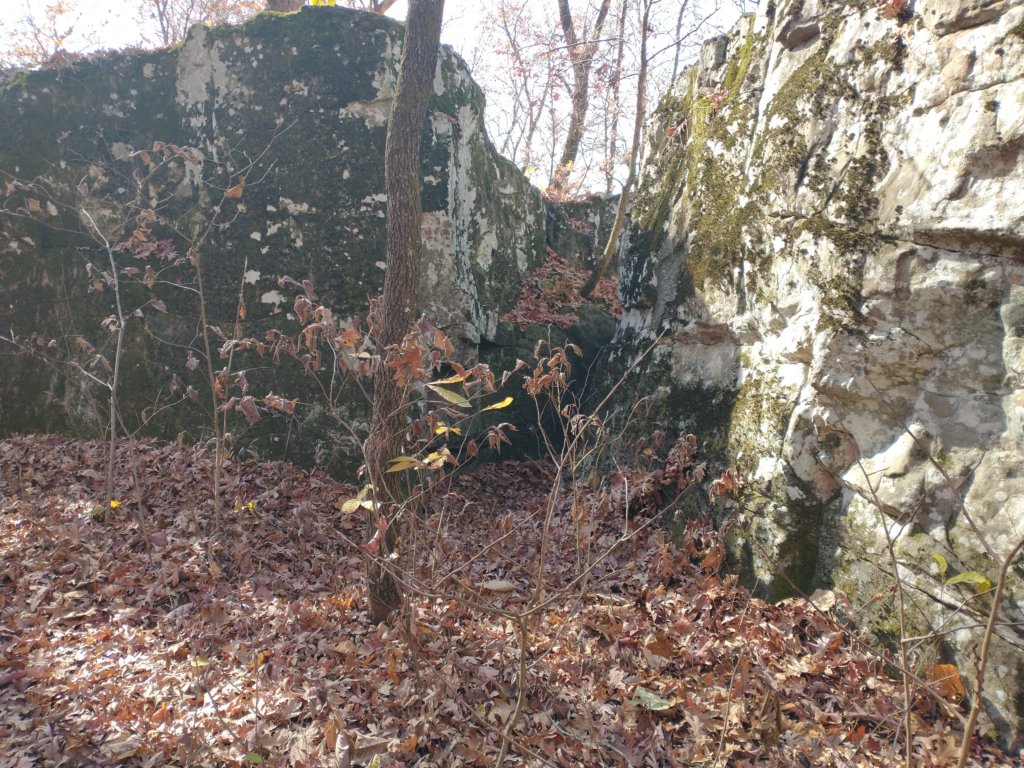 img_20231125_115532572.jpg