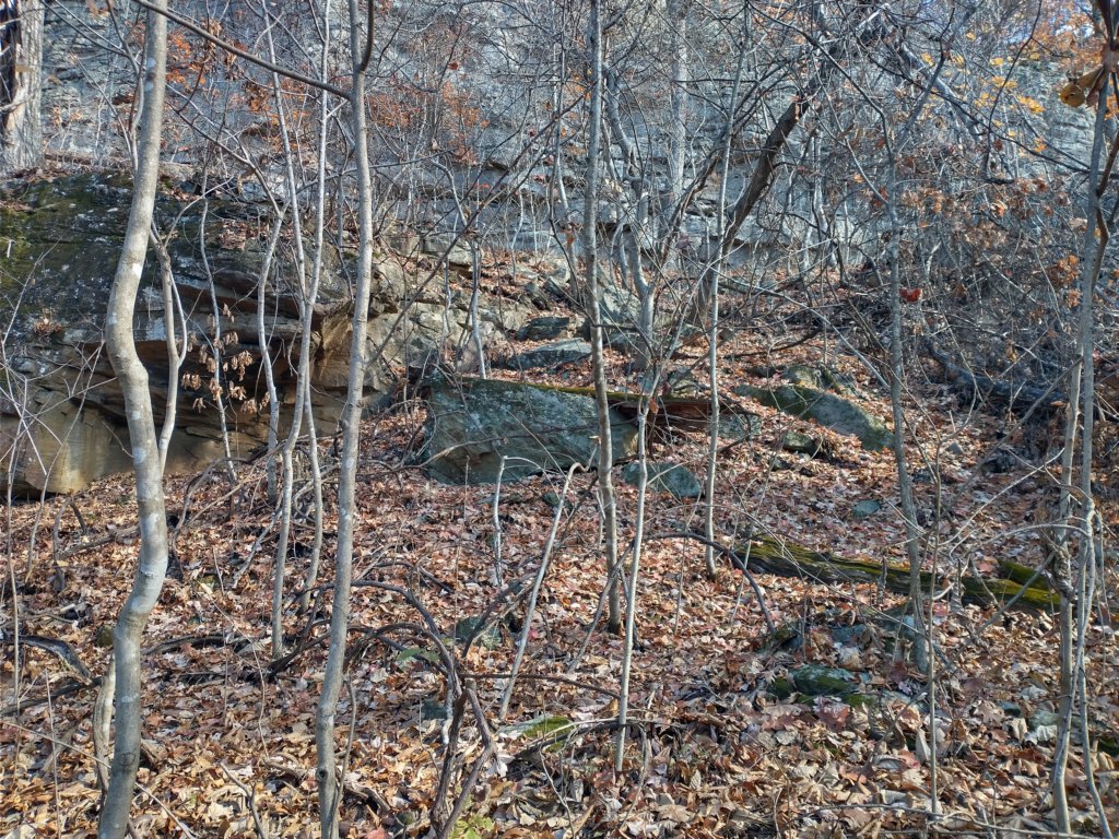 img_20231125_115745013_hdr.jpg