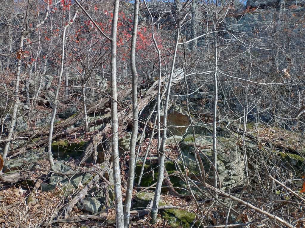 img_20231125_115838163_hdr.jpg