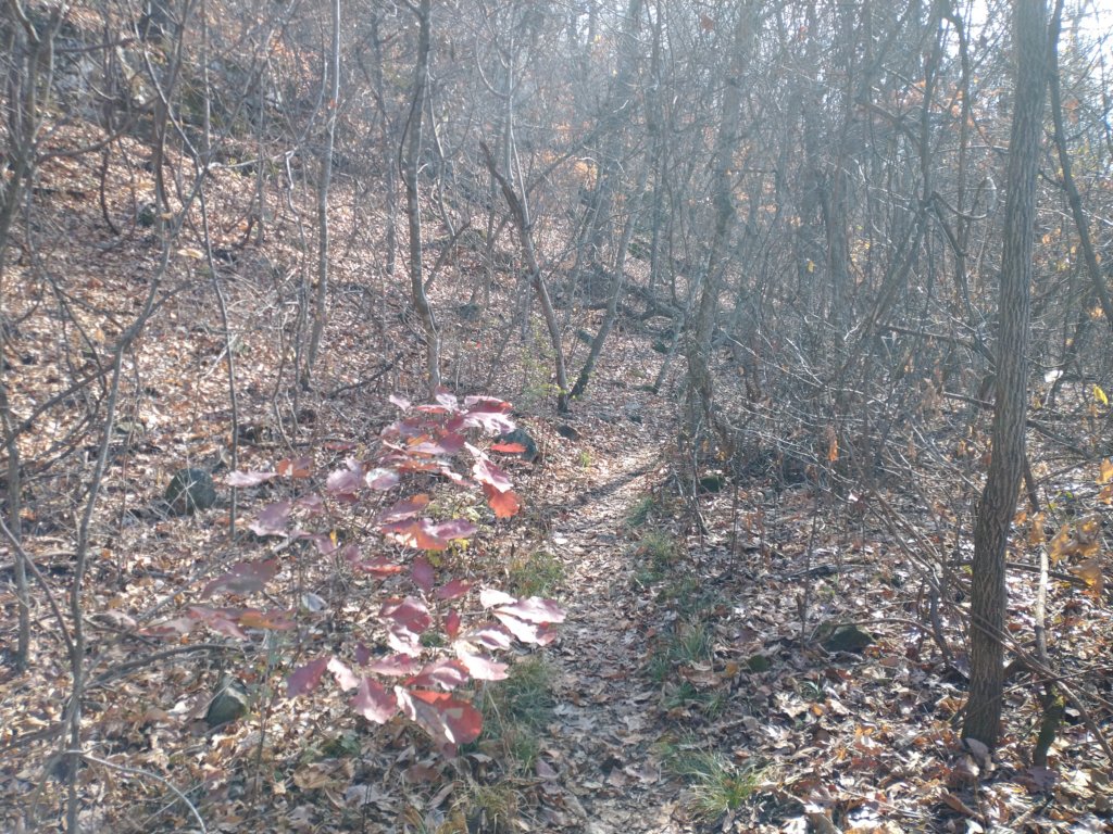 img_20231125_115900655.jpg