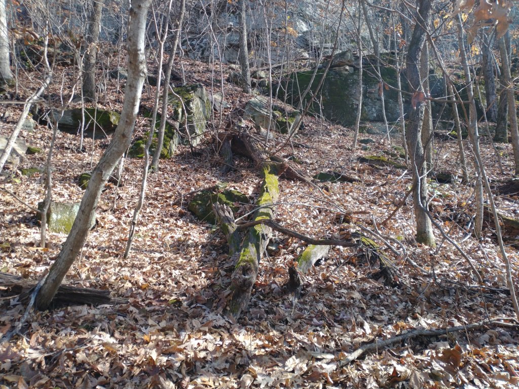 img_20231125_115951625.jpg