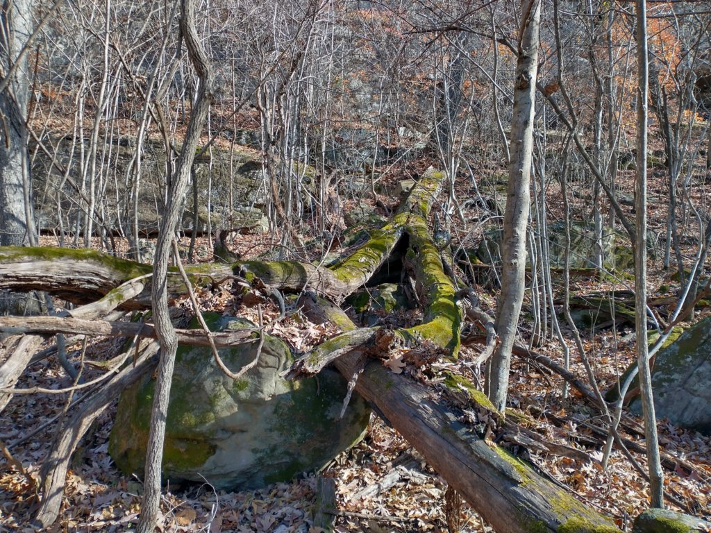 img_20231125_120208380_hdr.jpg
