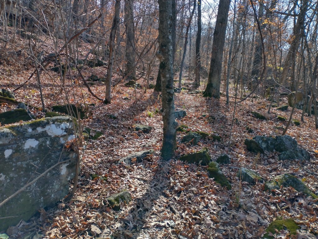 img_20231125_120313269_hdr.jpg