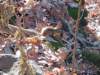 img_20231125_120441751_small.jpg