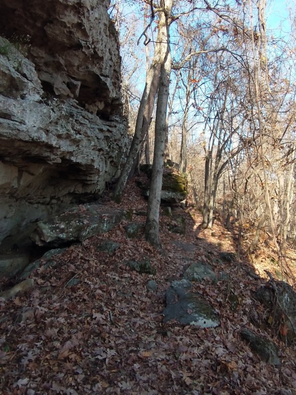 img_20231125_121402758.jpg