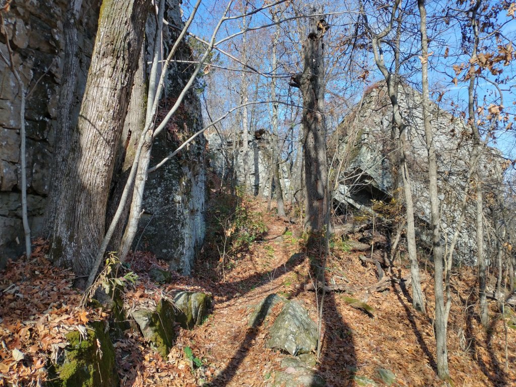 img_20231125_121539181_hdr.jpg