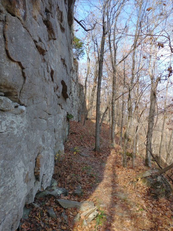 img_20231125_121805979.jpg