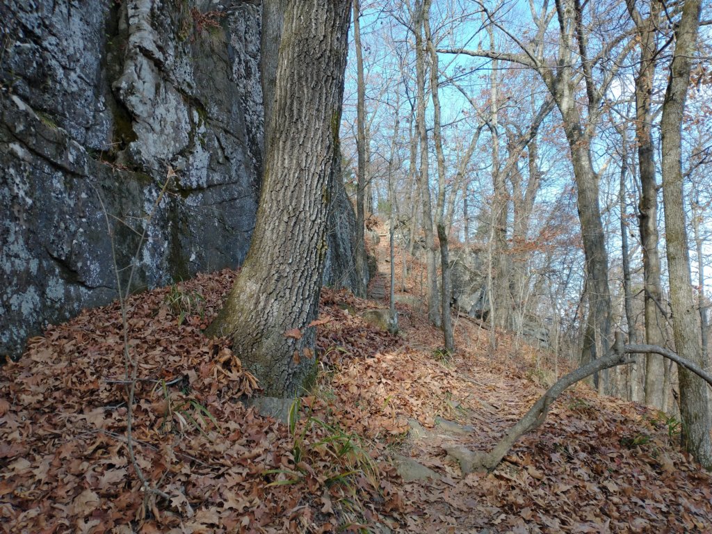img_20231125_121855387.jpg