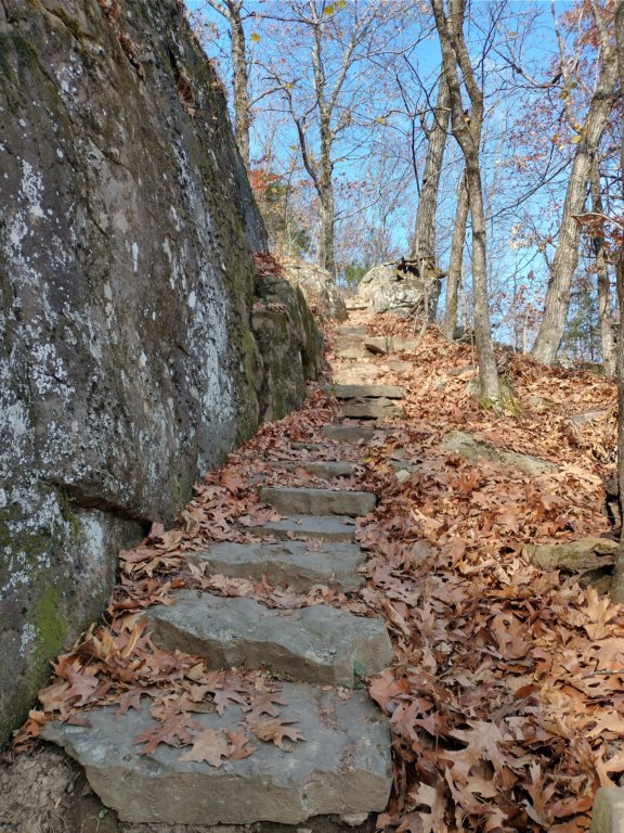 img_20231125_121924694_hdr.jpg