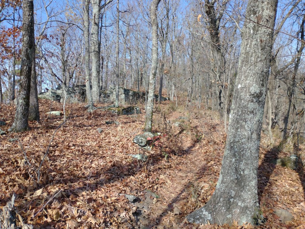 img_20231125_122251267.jpg