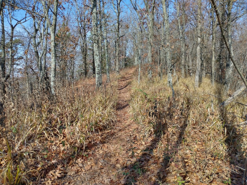 img_20231125_122336991_hdr.jpg
