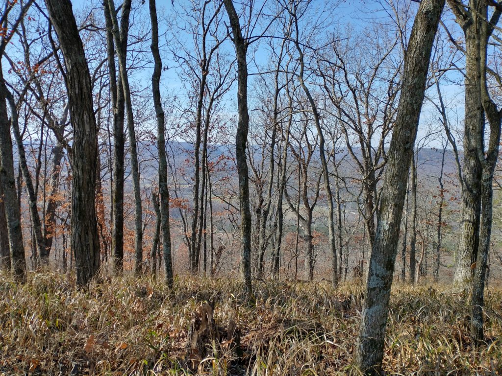 img_20231125_122612148_hdr.jpg