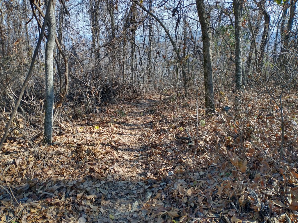 img_20231125_123324802_hdr.jpg