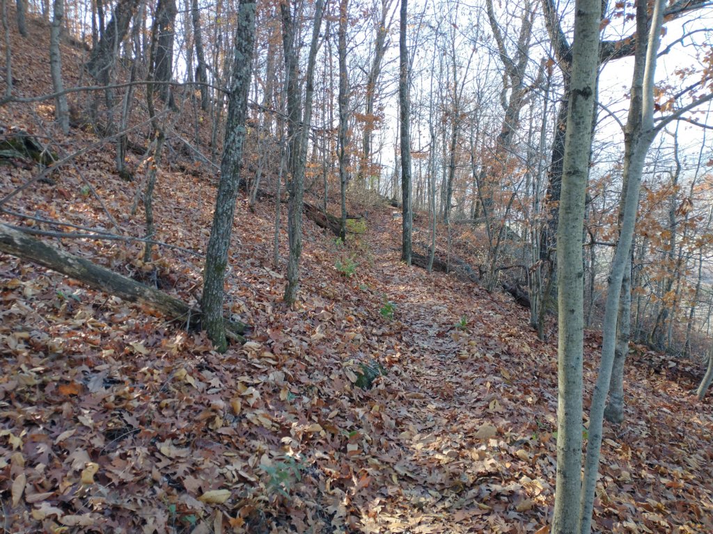 img_20231125_123922853.jpg
