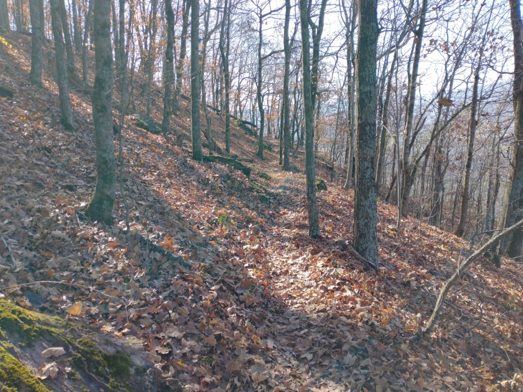 img_20231125_124009829.jpg