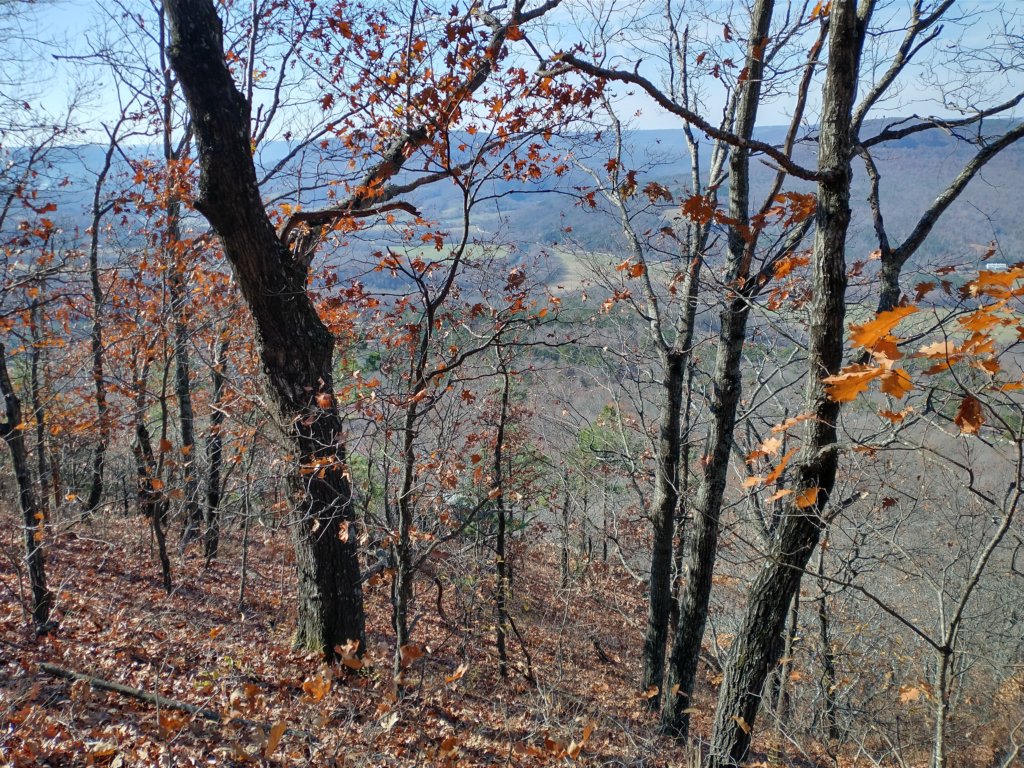 img_20231125_124120812_hdr.jpg