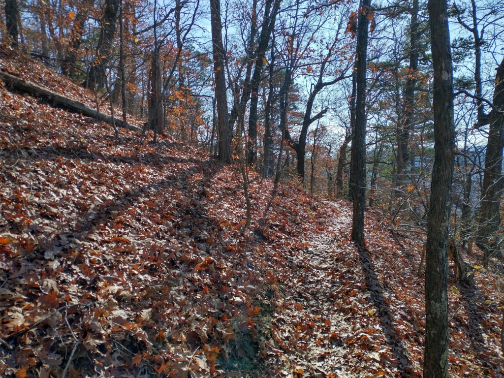 img_20231125_124243868_hdr.jpg