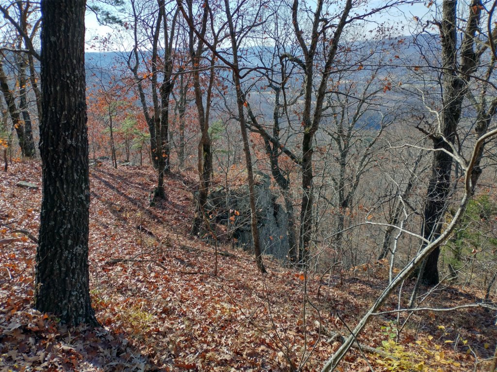 img_20231125_124659178_hdr.jpg