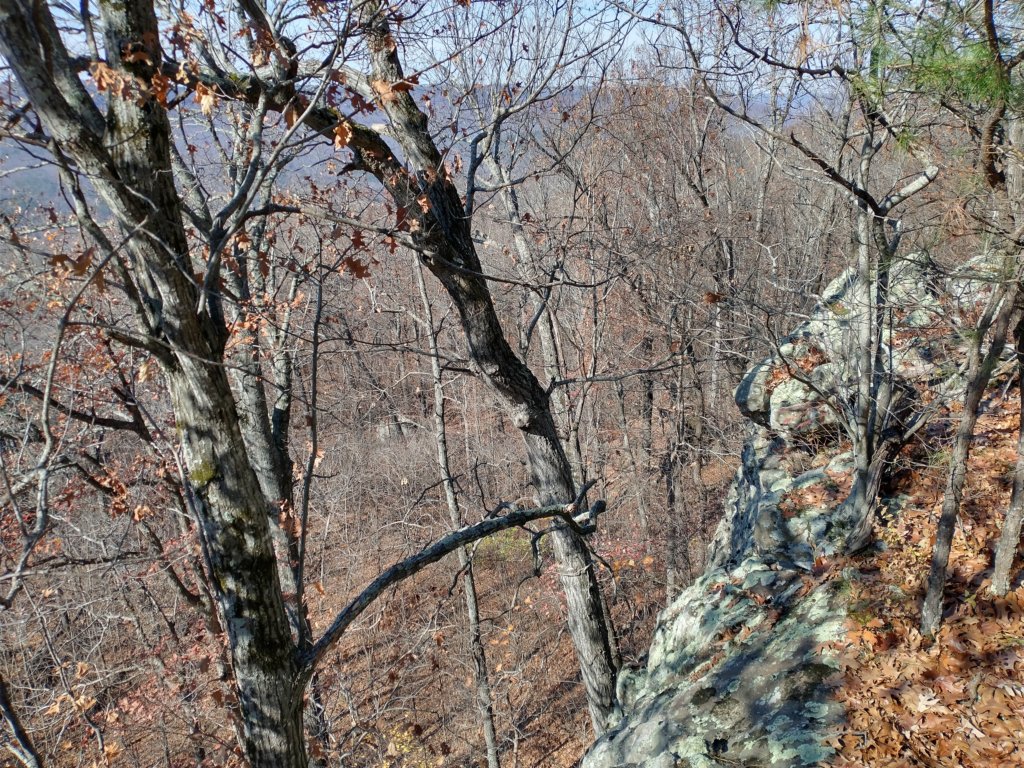 img_20231125_124914382_hdr.jpg