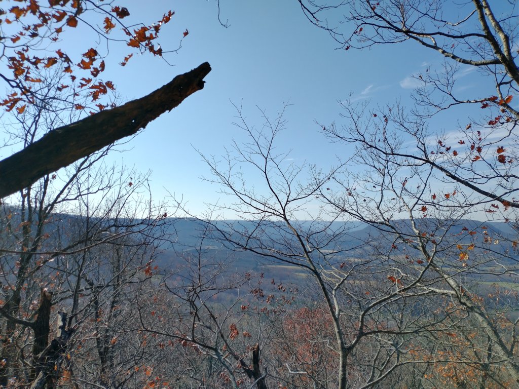 img_20231125_125146819_hdr.jpg