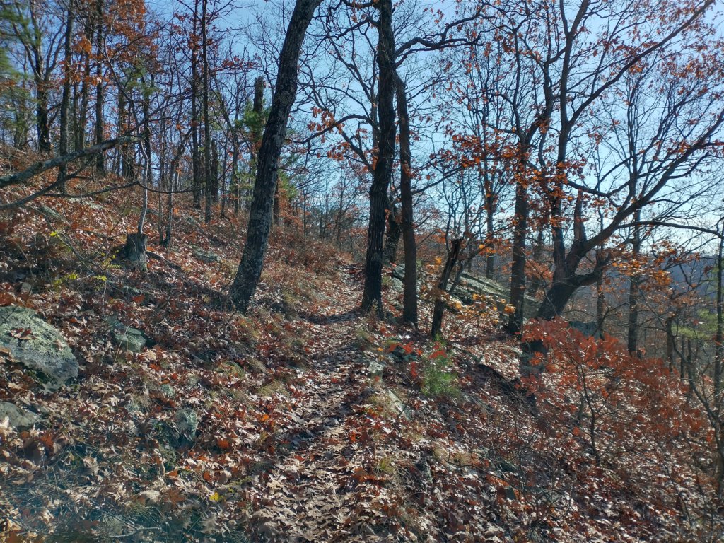 img_20231125_125238094_hdr.jpg