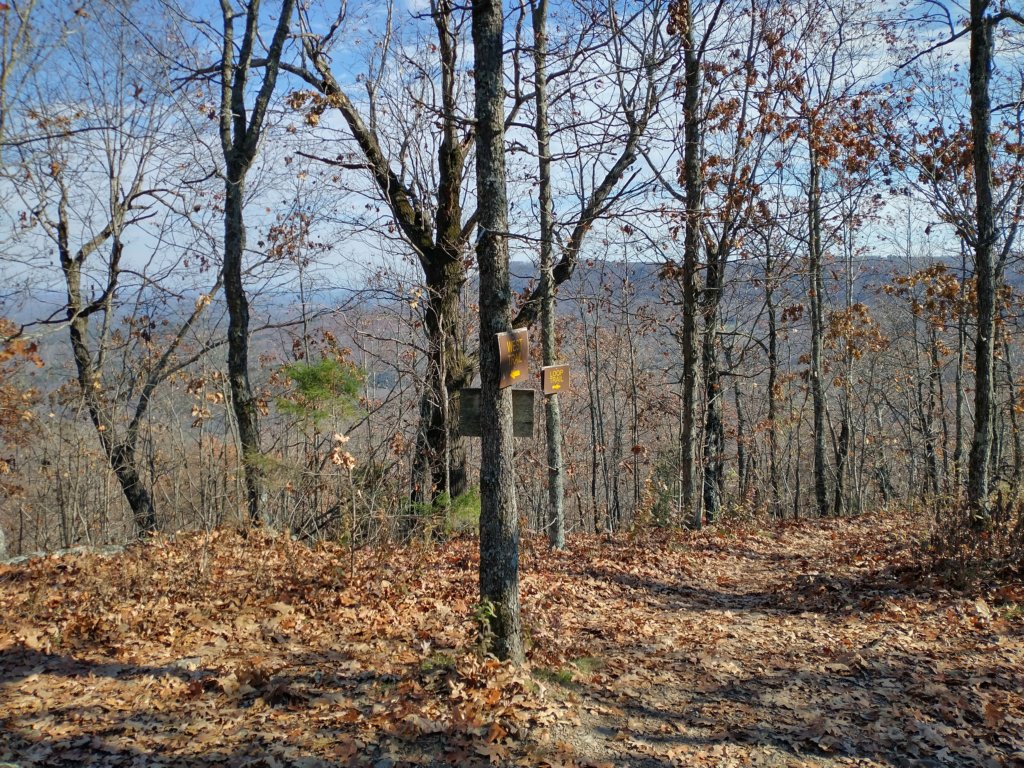 img_20231125_125425018_hdr.jpg