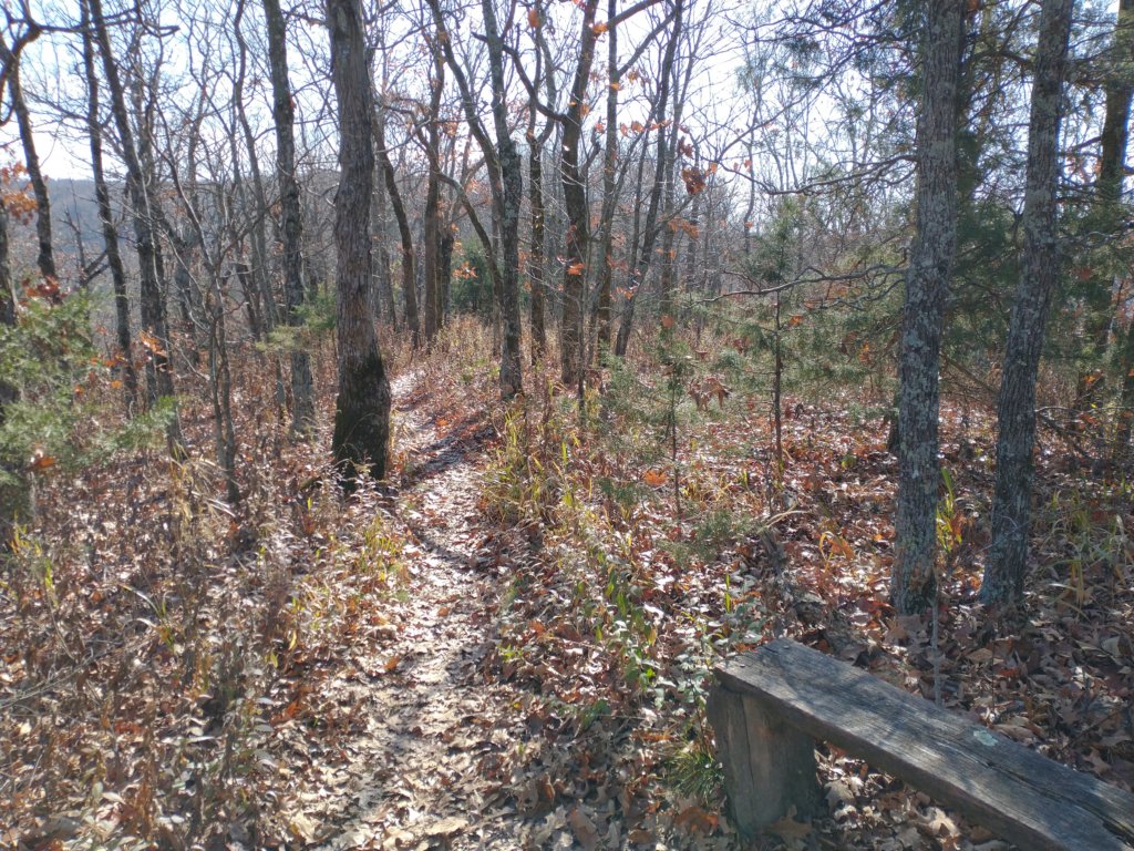 img_20231125_125459719.jpg