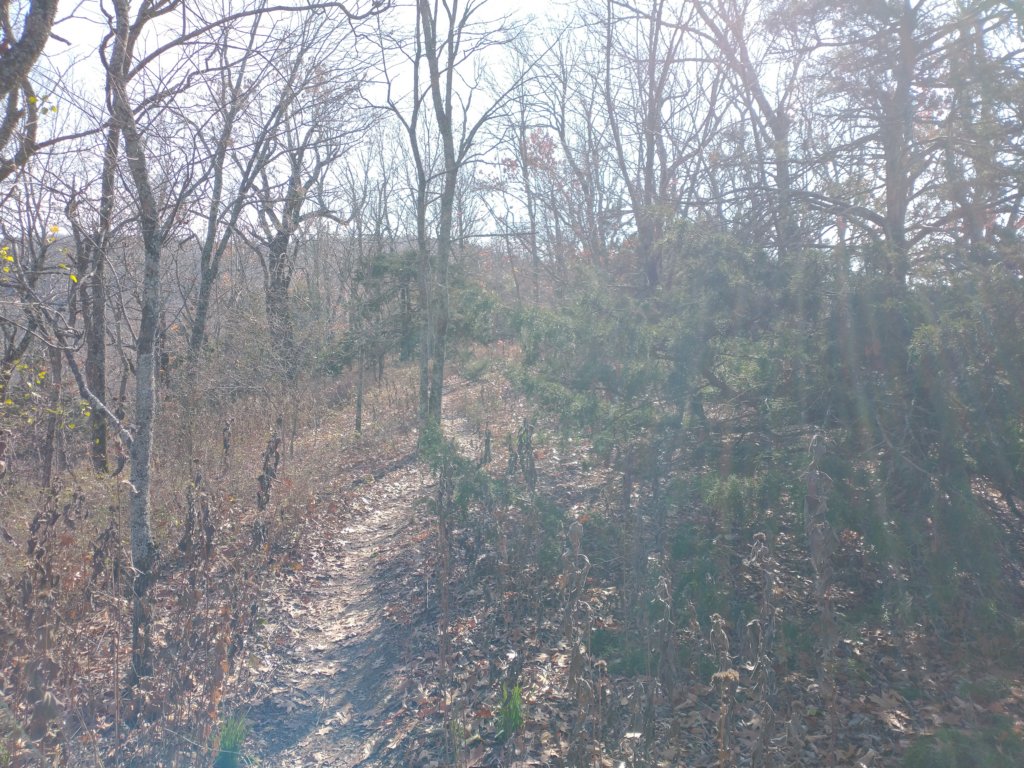 img_20231125_130120594.jpg