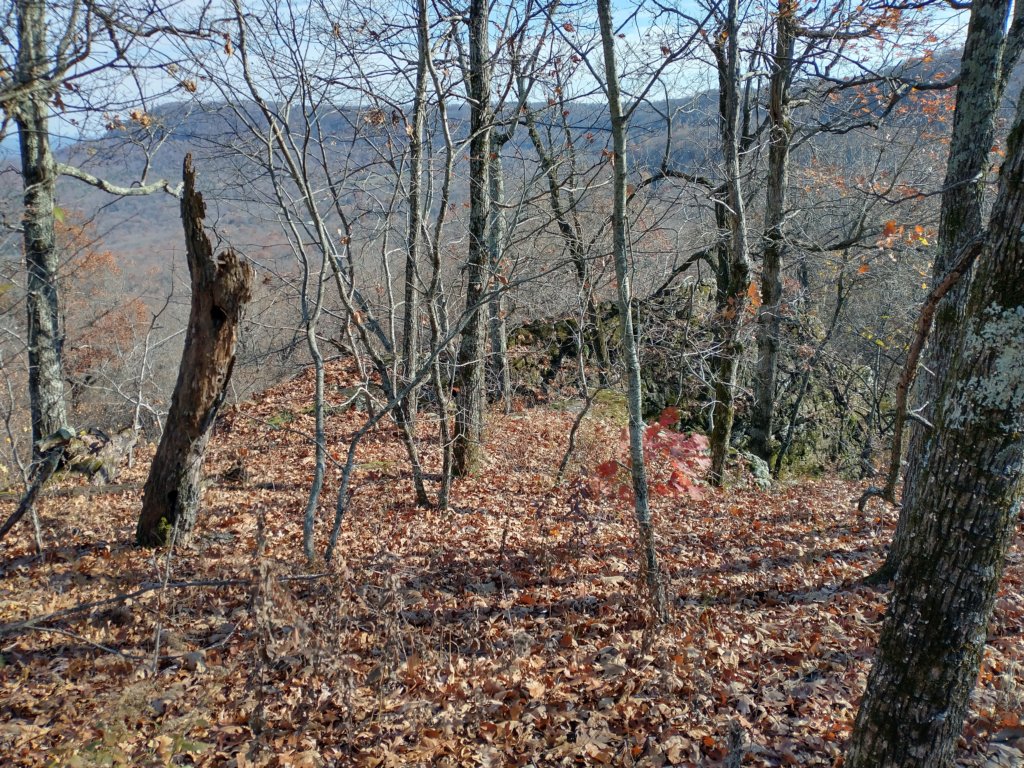 img_20231125_130318220_hdr.jpg