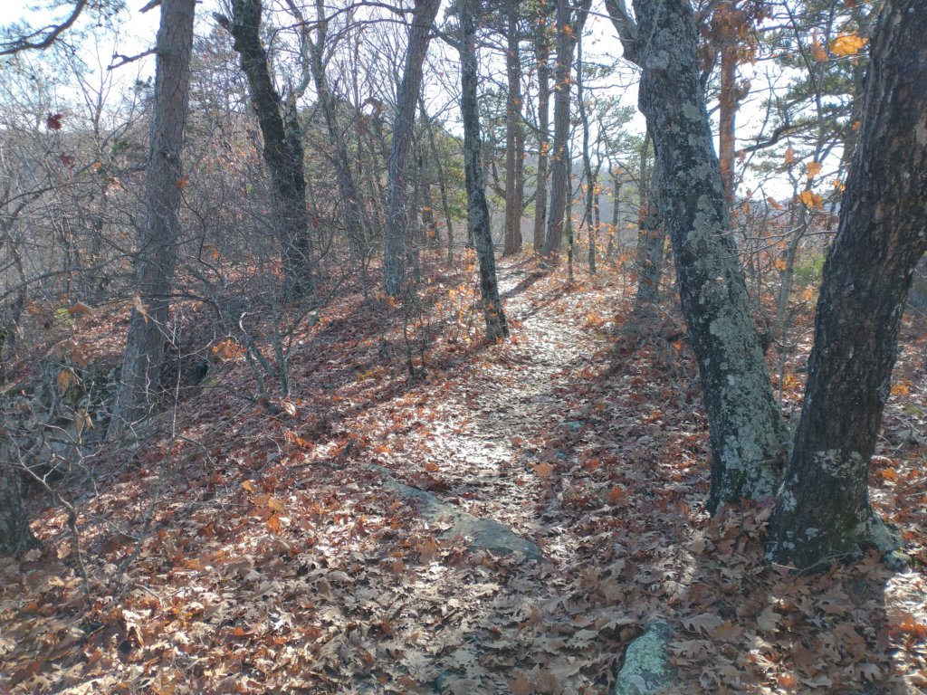 img_20231125_130551437.jpg