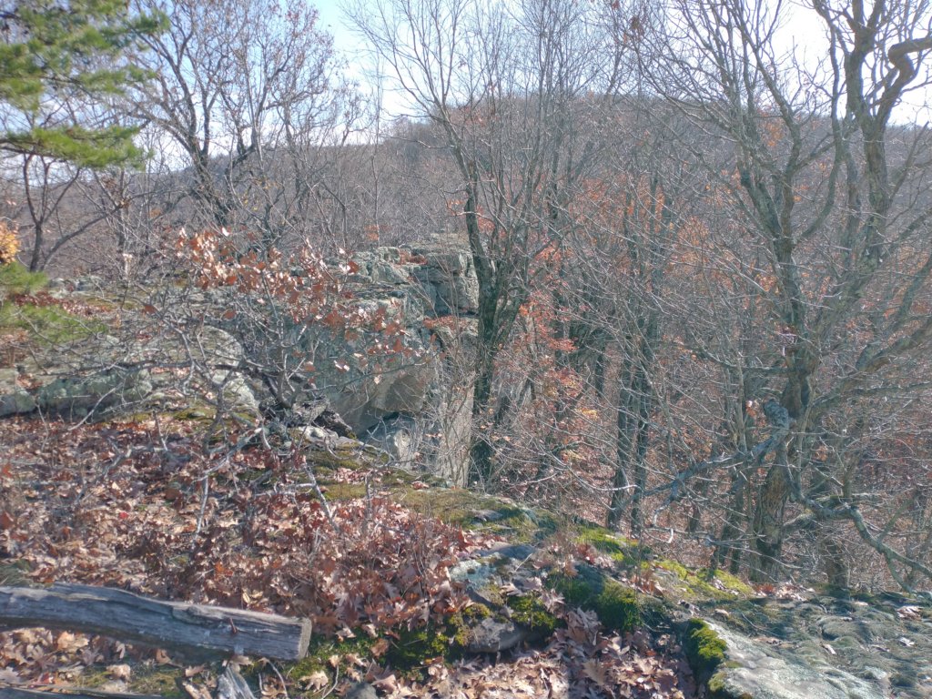 img_20231125_130658891.jpg