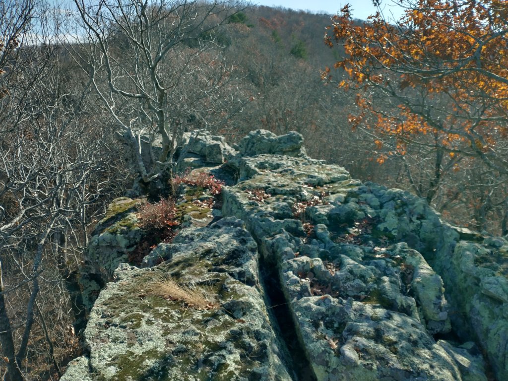 img_20231125_130846943_hdr.jpg