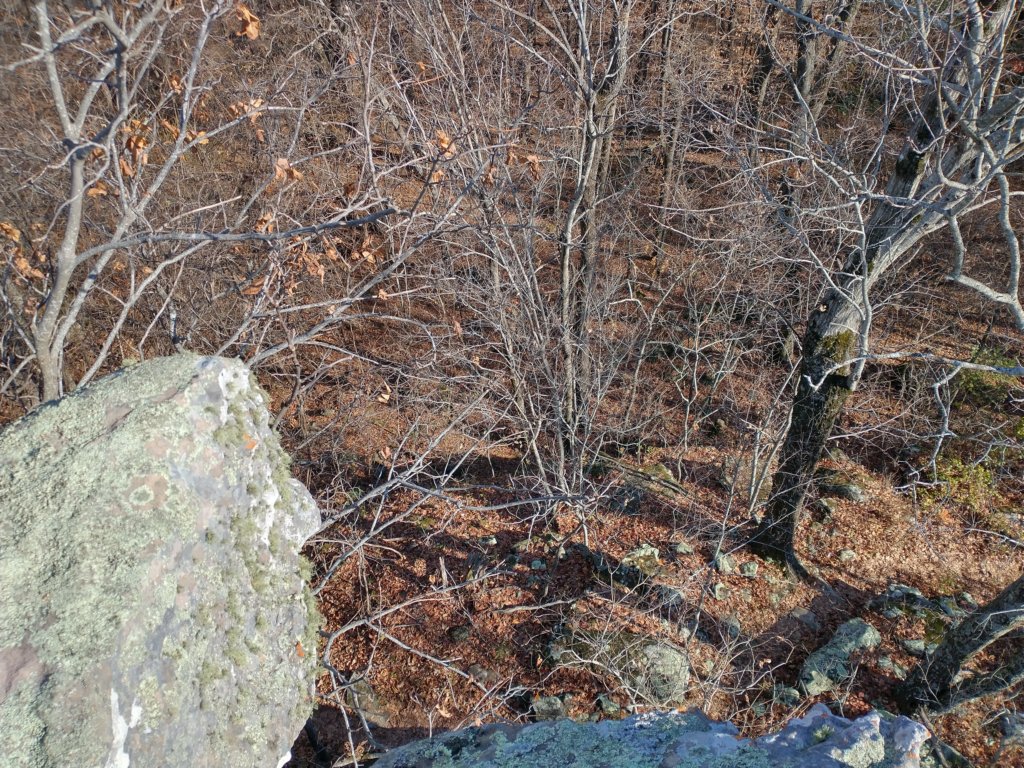 img_20231125_131014627_hdr.jpg