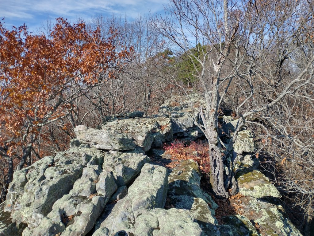 img_20231125_131030146_hdr.jpg