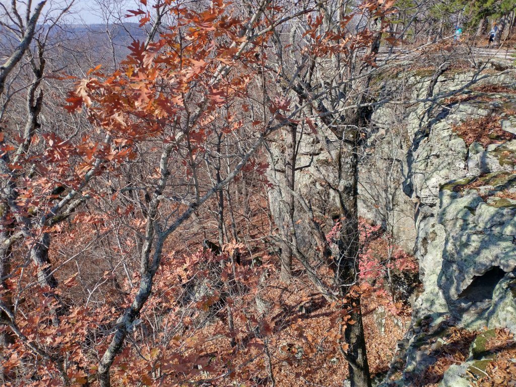 img_20231125_131235260_hdr.jpg