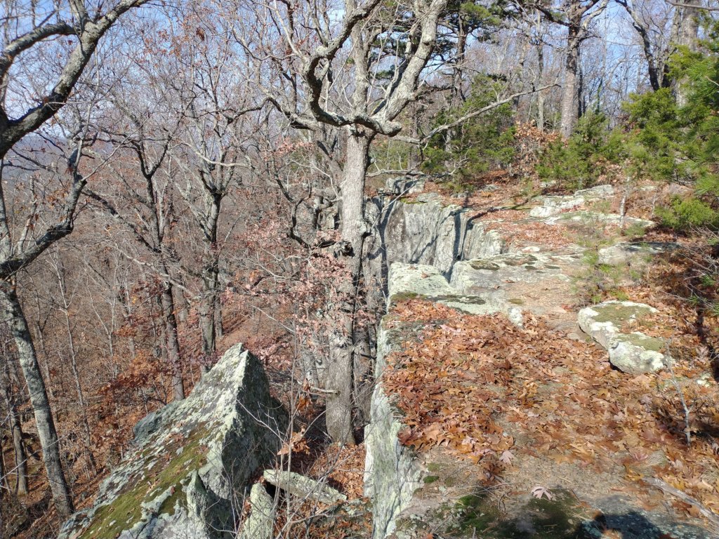 img_20231125_131450228.jpg