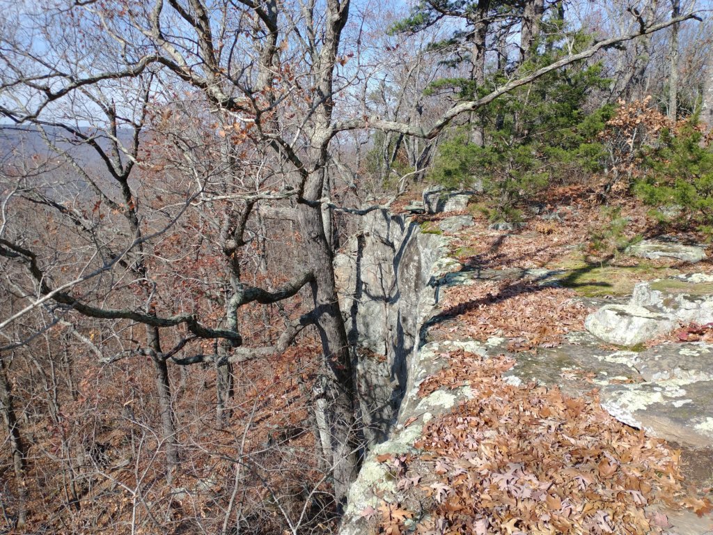 img_20231125_131504761.jpg